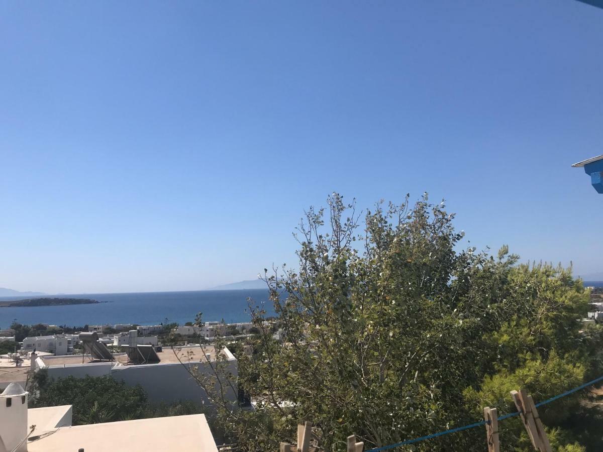 Studios Panorama דריוס מראה חיצוני תמונה